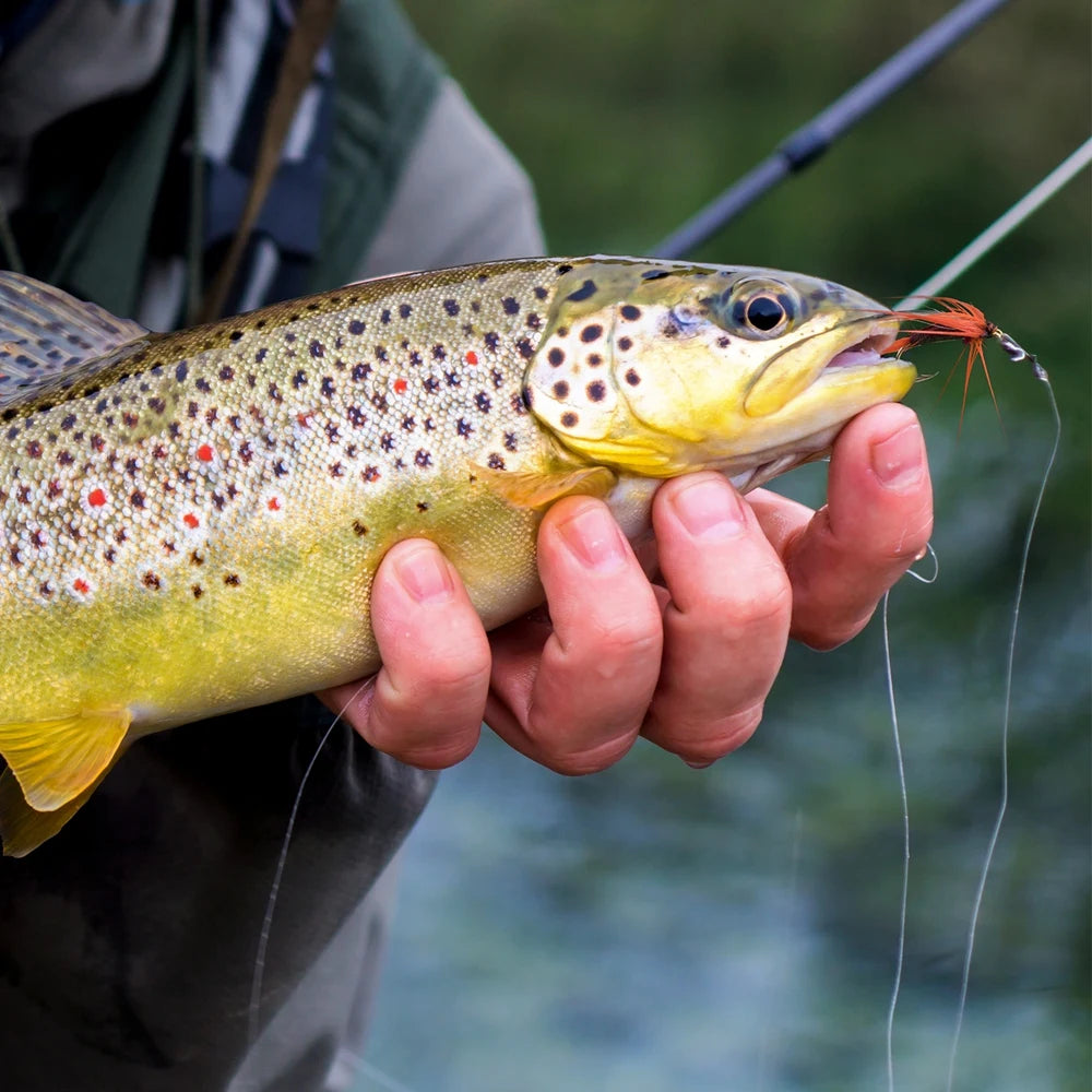 Goture 100pcs Fly Fishing Lure Kit Dry Wet Flies Nymph Streamers Set Trout Pike Baits With Retail Lures Box